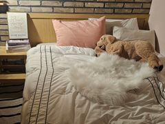 1호선 성결대역 스테이 0번째 이미지