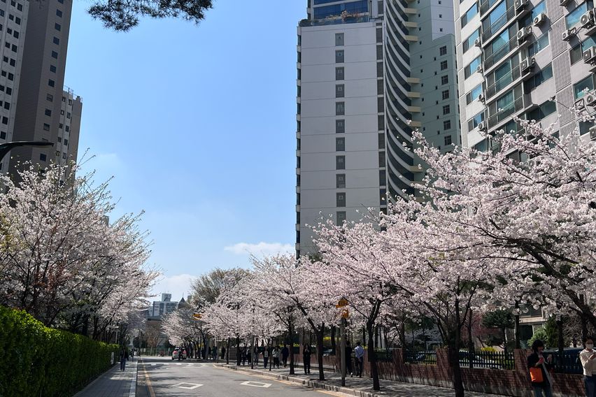 🩷강남역🩷고층뻥뷰조용