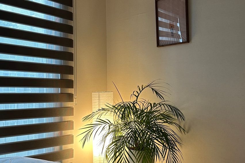 코지데이(미사역1분)