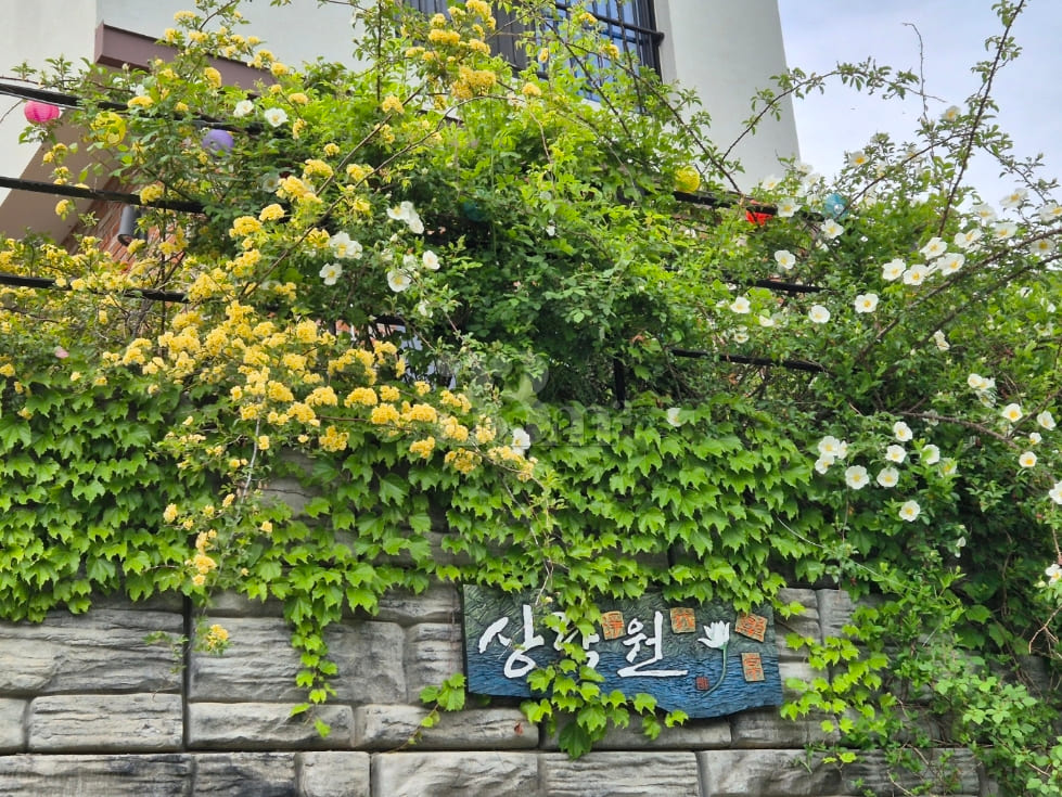 Sunny house with a good walking path. 11th image