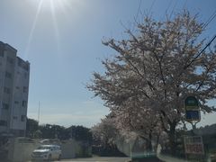 단기임대포항독채저렴달방 6번째 이미지