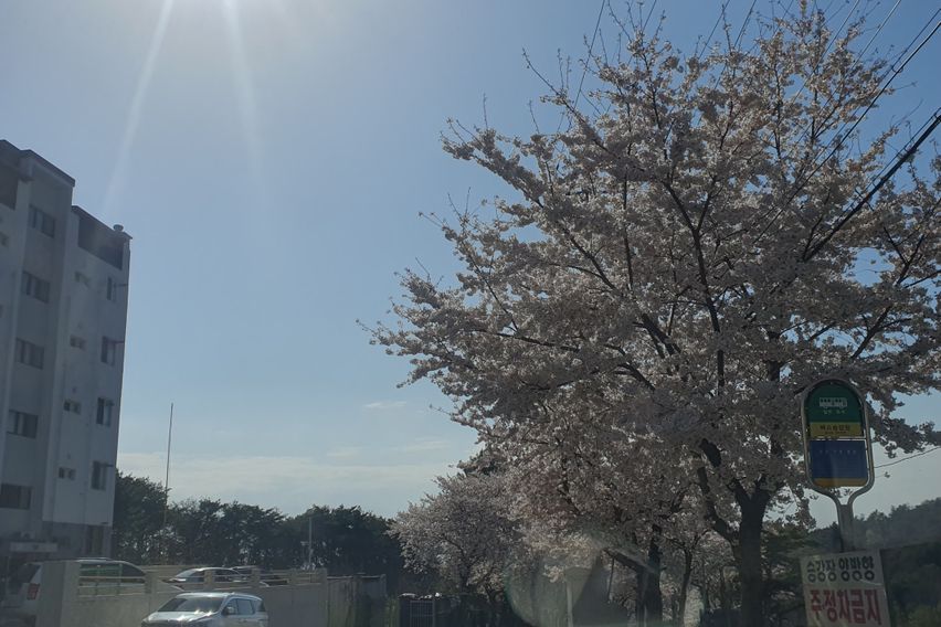 단기임대포항독채저렴달방