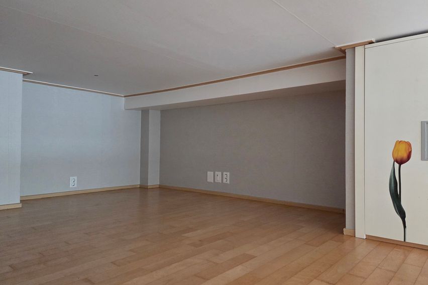 백석역2분일산병원