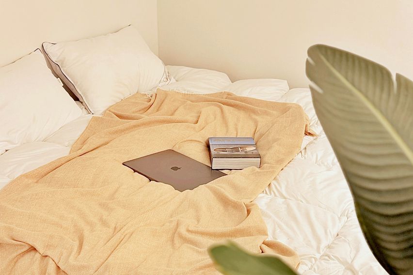 그린앤브라운 11번째 이미지