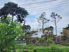 Park View 4B 1th image