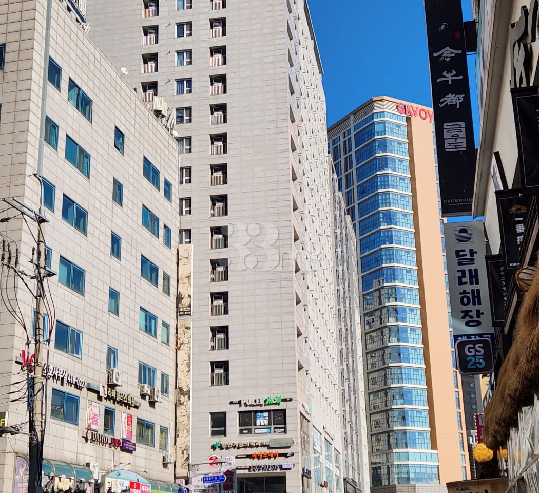 Songpa Triple-Station Area_Daisy 16th image