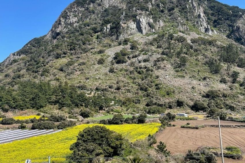 ✔️산방산의초대✔️특가 0번째 이미지