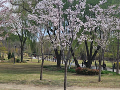 역세권3분 민트빔프젝방 13번째 이미지