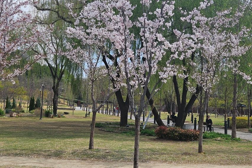역세권3분 민트방 13번째 이미지