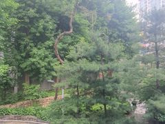 Mapo Stay/Gongdeok 303 17th image