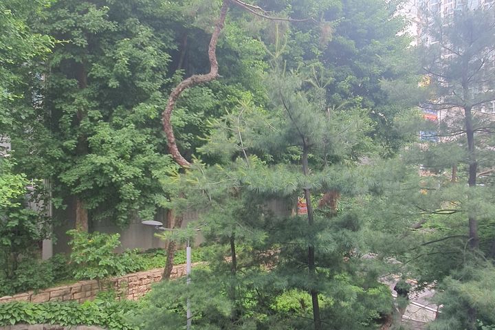 Mapo Stay/Gongdeok 303 17th image