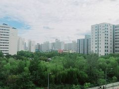 오드투500 12번째 이미지
