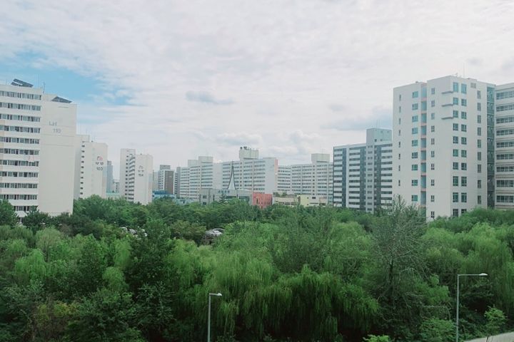 오드투500 12번째 이미지