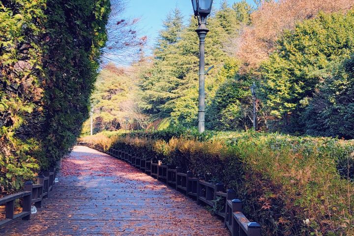 숲세권에서 힐링을 🌿 4번째 이미지