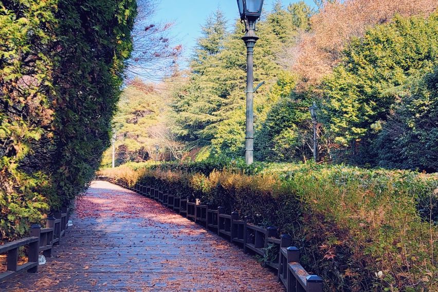 숲세권에서 힐링을 🌿 3번째 이미지