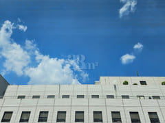 Yeouido 🍀 National Assembly · The Hyundai 17th image