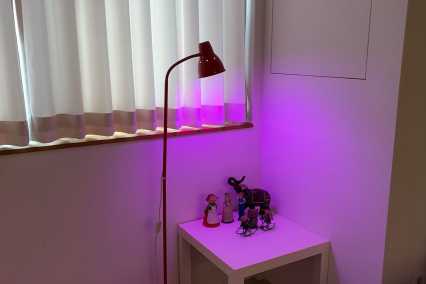 🌿 분당오리역 감성숙소