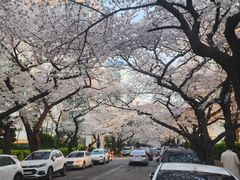 광안리 바닷가 풀옵션 12번째 이미지