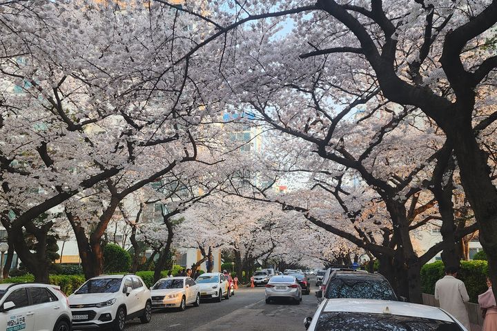 광안리 바닷가 풀옵션 12번째 이미지