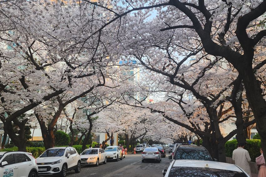 광안리 바닷가 풀옵션 12번째 이미지