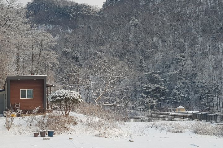잔디마당 소형단독주택 11번째 이미지