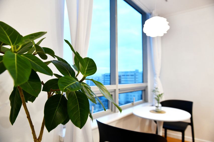 둔산의 중심 히스토리3