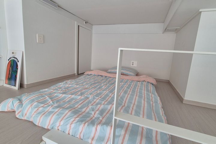 자이엘라 3번째 이미지