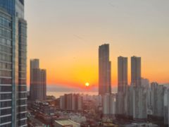 해운대 바다와 정원 13번째 이미지