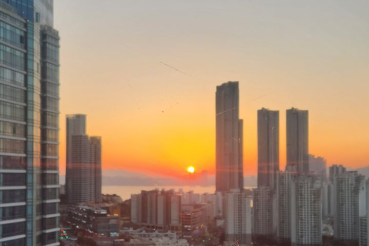 해운대 바다와 정원 13번째 이미지