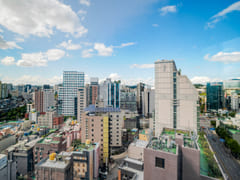 #49 Blue Ground Sinchon 12th image
