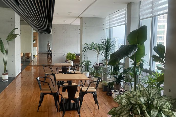 🌴신당동|청계천|동대문 16번째 이미지
