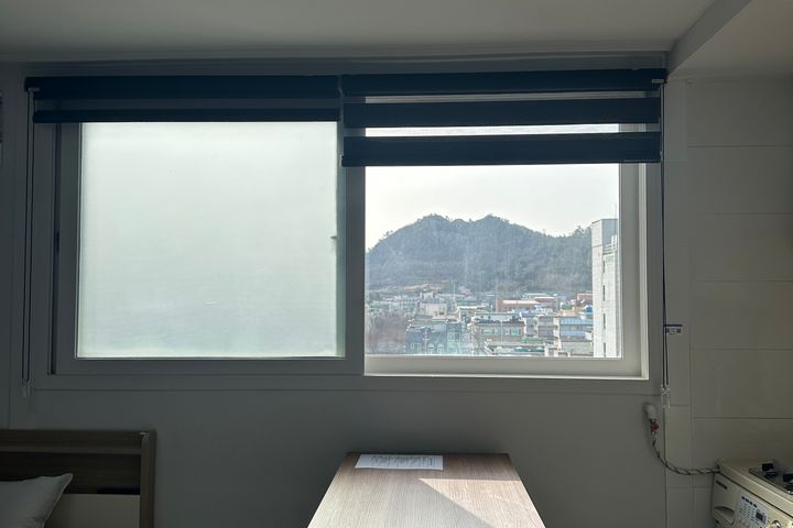 🌻여행 출장 실습 추천 5번째 이미지