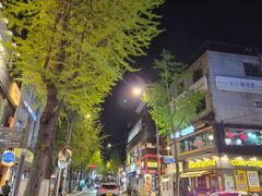 🩵혜화/성균관대 18번째 이미지