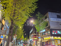 🩵Hyehwa/Sungkyunkwan University 18th image