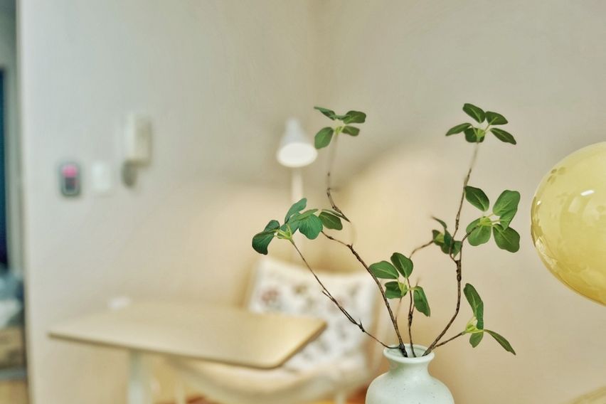 연대/홍대/신촌🏠