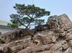 동화빌 102호 13번째 이미지