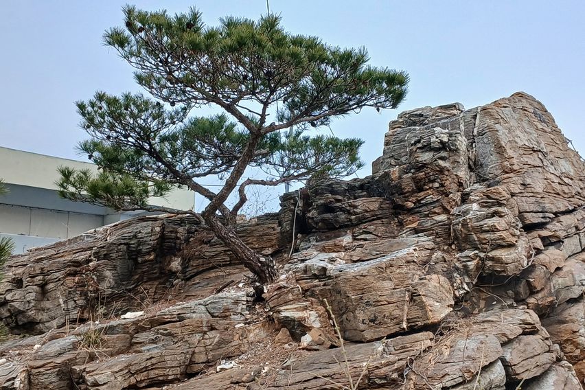 동화빌 102호 13번째 이미지