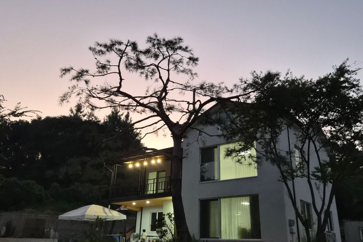 양평군지평면 초록하우스 13번째 이미지