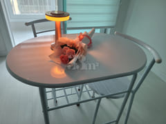 š§”Dalcheon Cheongok-dong Apartment 15th image