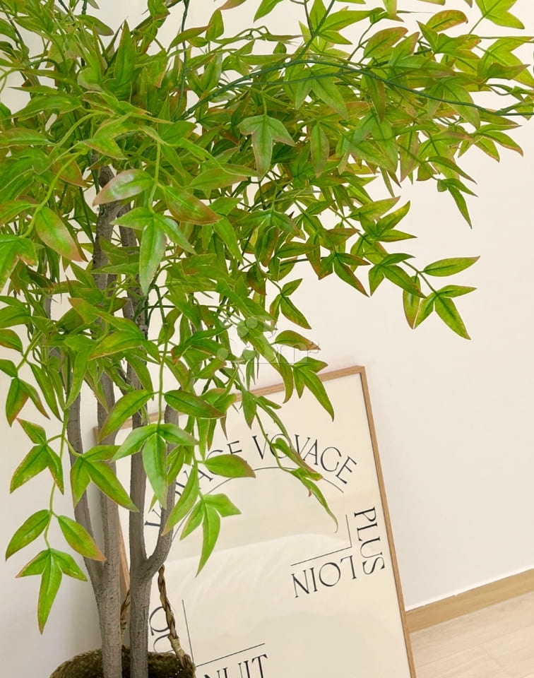 ❤️ Neat & Wood-Style – Right in Front of Hwaj 10th image