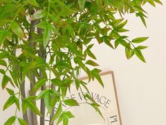 🌳화정역바로앞깔끔우드 10번째 이미지