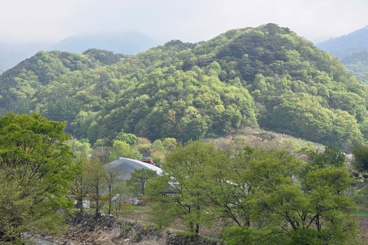 횡성계곡 프라이빗 힐링 11번째 이미지