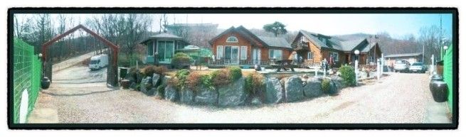 안테나하우스지음채 1번째 이미지