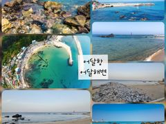 강원동해어달앞바다202 16번째 이미지