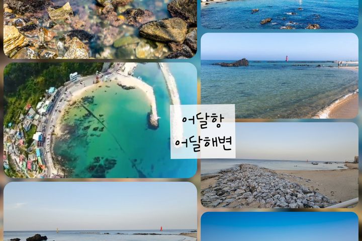 강원동해어달앞바다202 16번째 이미지
