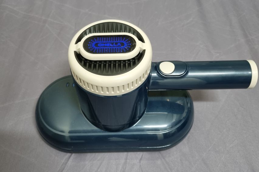 고고스테이 B타입