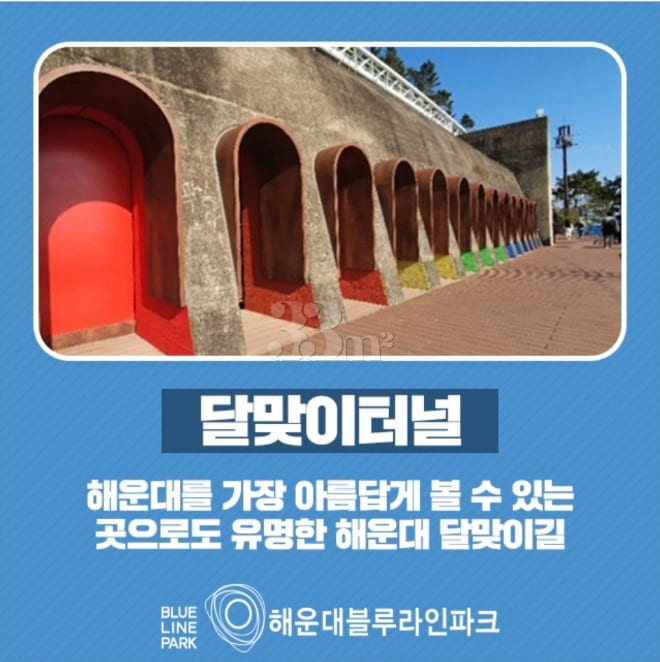 지니하우스 17번째 이미지
