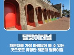 지니하우스 17번째 이미지