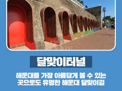 지니하우스 17번째 이미지