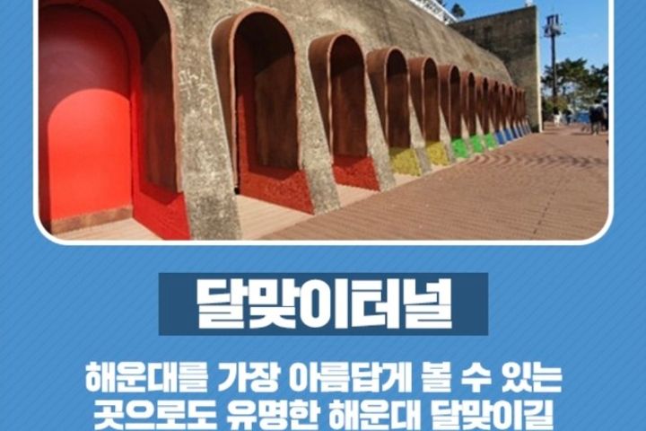지니하우스 17번째 이미지